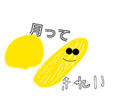 843353806
