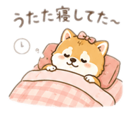 843353844