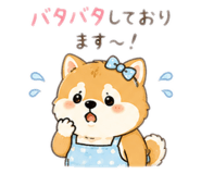 843353851