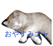 843353969