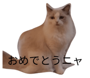 843353972