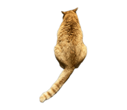 843354060