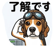 843354212