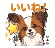 843354505