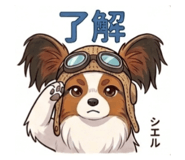 843354507