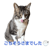 843354691