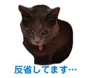 843354696