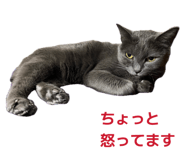 843354698