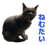 843354699