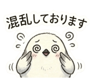 843354734