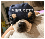 843354862