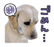 843354891