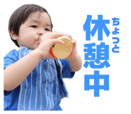 843355013
