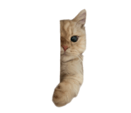 843355280