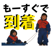 843355481