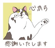 843355771