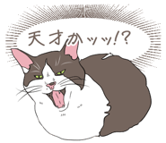 843355791
