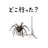 843355817
