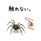 843355821