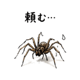 843355828