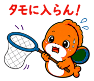 843356433