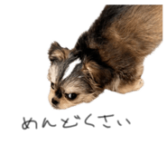 843356505