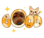 843356567