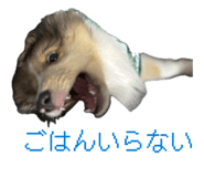 843356961