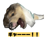 843356964