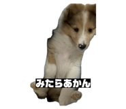 843356967