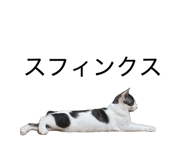 843357232