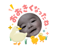 843357262