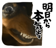 843357313