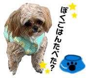 843357549