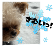 843357553