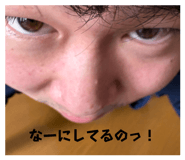 843357801