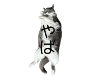 843357825