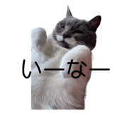 843357829