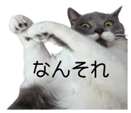 843357834