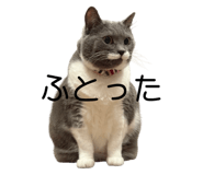 843357838
