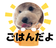 843357844
