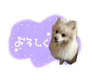 843358133