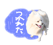 843358143