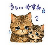 843358213