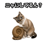 843358262