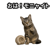 843358263