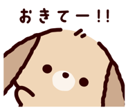 843359030