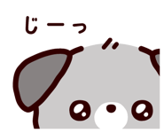 843359056