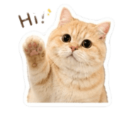 843359193