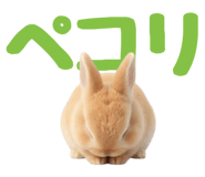 843359427